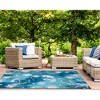 Liora Manne Marina Coastal Indoor/Outdoor Rug.. - 3 of 4