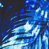 green palm