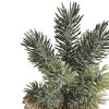 Northlight Frosted Mini Pine Tree Christmas Decoration with Burlap Base - 7.75" - 3 of 3