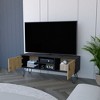 47.6" TV Stand B Magness with Two Cabinets and Open Shelves for Living Room and Bedroom - 4 of 4