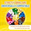 Strictly Briks Big Blocks Set, Large Building Blocks for Ages 3+, Compatible with All Major Brands, Rainbow Colors, 204 Pieces - 4 of 4
