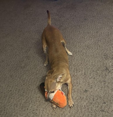 Guest review image 1 of 1, zoom in