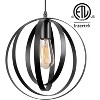 Fine Art Lighting 1-Light Globe Industrial Pendant Hanging Light , Black - 3 of 4