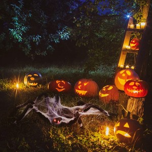 Halloween Decorations Big Spider Black Soft Hairy Scary Spider Fake Large Pops for Halloween Outdoor Yard Party - 1 of 4
