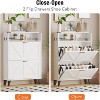 Shoe Storage Cabinet with 2 Flip Drawers, Shoe Rack for Front Door Entrance, Entryway - 4 of 4