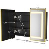 Lighted Medicine Cabinet with Mirror Wall Mounted Bathroom Mirror with Storage - 2 of 4