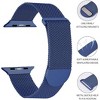 Worryfree Gadgets Metal Mesh Magnetic Dressy Band for Apple Watch - Two Color Option - 2 of 4