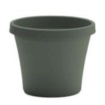 Bloem - Terra - Plastic - Traditional Planter - Green - 7.25 in.