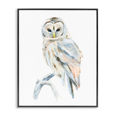 Stupell Industries Winter Artic Owl Portrait Perched on Tree Branch Framed Giclee Art