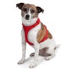 Guardian Gear BestFit XtraComfrt Mesh Hrnss XL Red - 2 of 4