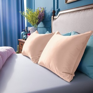 2 Pack Satin Pillowcases, Skin-Friendly Luxury Pillow Cases with Hidden Zipper - NTBAY - 1 of 4