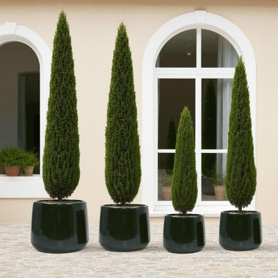 antique green