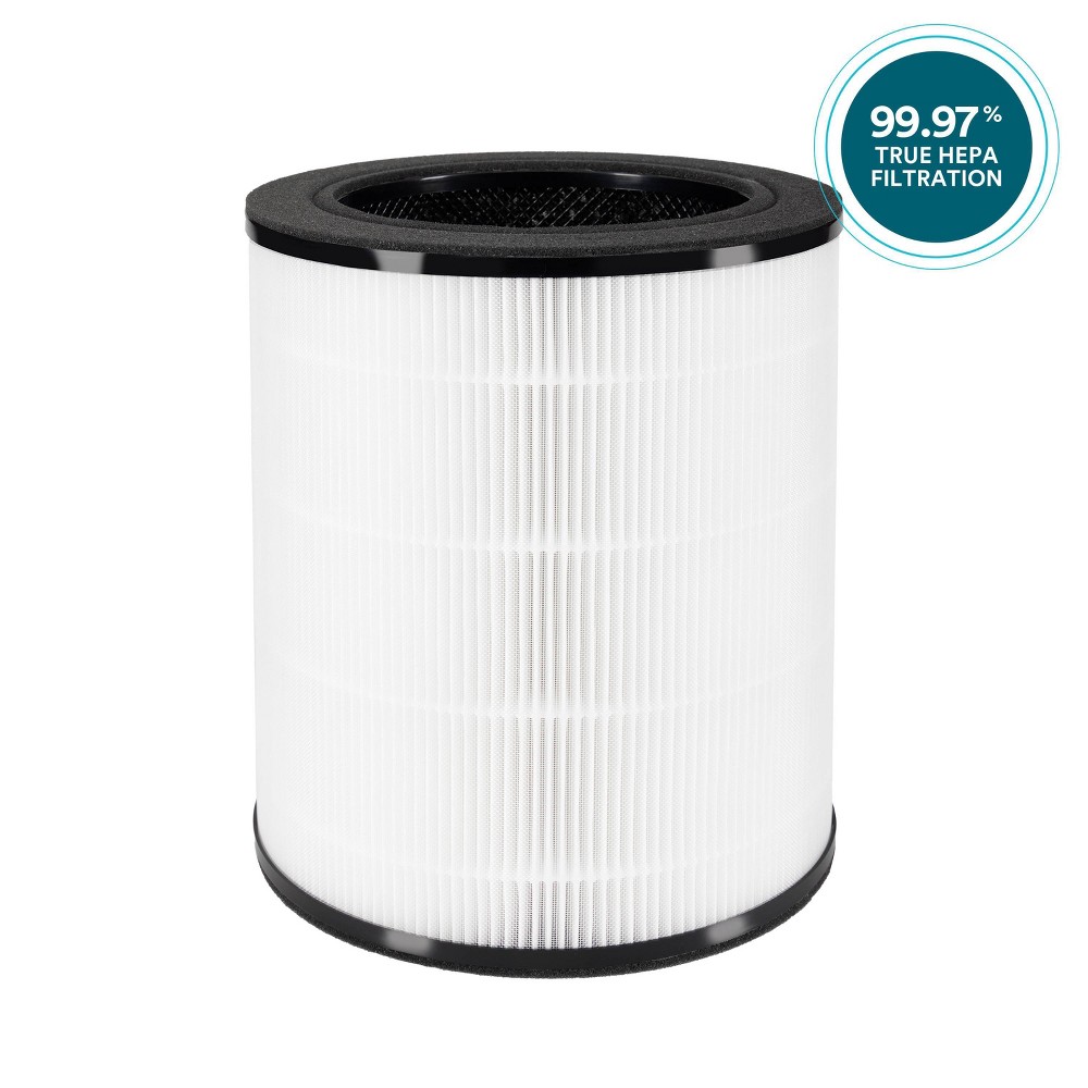 HoMedics Replacement Air Control Filter for AP-T200/AP-T2503 Air Purifiers: HEPA Filter, Captures Allergens & Odors, 1 Pack