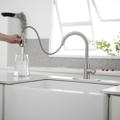 Brushed Nickel Single Handle Pull-Out Spray Kitchen Faucet