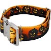 Country Brook Petz HossFit Jr Wide Premium  Dog Collar - Halloween Collection - 2 of 4