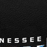 tennessee titans