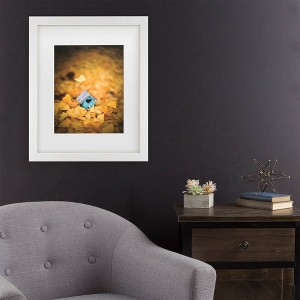 Trademark Fine Art Philippe Sainte Laudy Birdhouse on Yellow Carpet Matted Framed Art - 1 of 4
