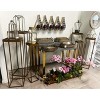 Essential Decor & Beyond 6pc Modern Minimalist Gold Metal Plant Stands Set - 3 of 4