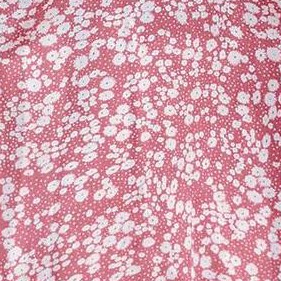 white flowers on pink background