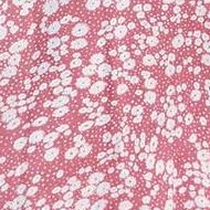 pink-white floral