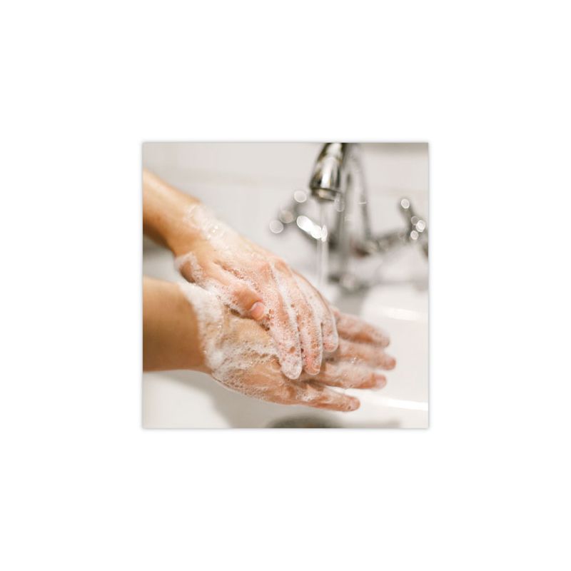 Dial Professional Basics MP Free Liquid Hand Soap, Honeysuckle, 3.78 L Refill Bottle, 2 of 8