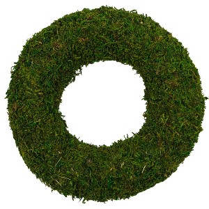 Northlight 13.7" Reindeer Moss Artificial Floral Spring Wreath - Unlit - 1 of 4