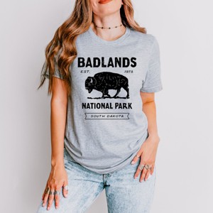 Simply Sage Market Vintage Badlands National Park Short Sleeve Tee - 2XL - Heather Grey - 1 of 4