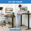 Mount-It! Dual Motor Electric Standing Desk with 55" Tabletop, Adrift & Black - 4 of 4