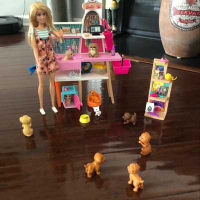 Barbie Doll, Pets and Playset, 3+