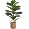 Vynxaria Artificial Plant, Fiddle Tree, Indoor, Faux, Fake, Floor, Greenery, Potted, Real Touch, Decorative, Green Leaves, Beige Woven Basket - 3 of 4