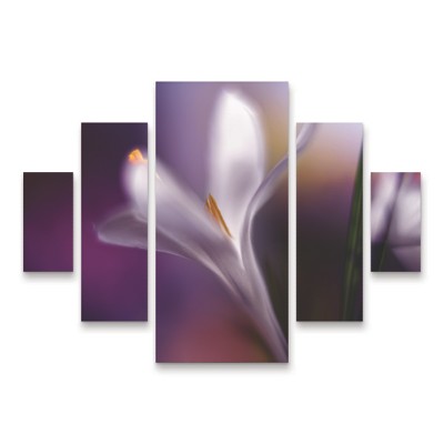 Trademark Fine Art Heidi Westum  Midnight Crocus 5 Piece Panel Set Art