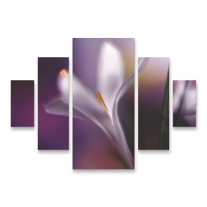 Trademark Fine Art Heidi Westum  Midnight Crocus 5 Piece Panel Set Art - 1 of 3