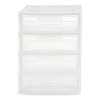 GRACIOUS LIVING Desk & Countertop 4 Drawer Storage Bin w/Organizer Lid (2  Pack) 2 x 92066-4C - The Home Depot