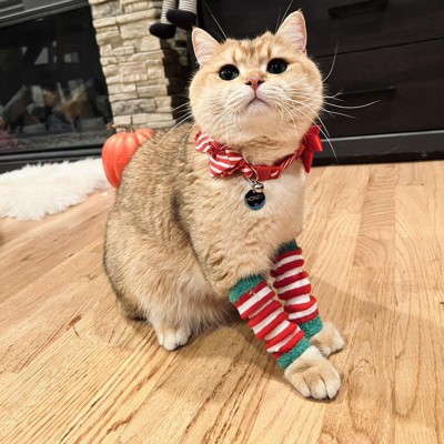 Gingerbread Playhouse Cat Leggings - Wondershop™