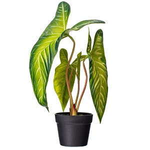 Vickerman Artificial Alocasia Potted Plant - 1 of 3