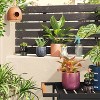 Ceramic Family Cat Indoor Outdoor Planter Pot White 3.15"x3.15" - Threshold™ - 2 of 4