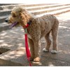 Country Brook Petz Deluxe Nylon Dog Collar and Leash - 4 of 4