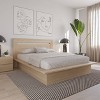 Nexera Queen Malibu Headboard Natural Blonde Oak - image 4 of 4