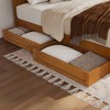 AFI Furnishings AFI Queen-King-Twin XL Mid-Century Modern Under Bed Storage Drawers in Light Toffee - 2 of 4