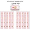 Big Dot of Happiness Sweet 16 - Mini Candy Bar Wrapper Stickers - 16th Birthday Party Small Favors - 40 Count - 3 of 4