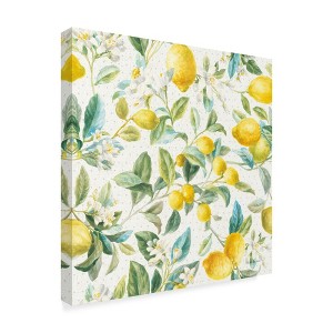 Trademark Fine Art -Danhui Nai 'Floursack Lemon Pattern Ia' Canvas Art - 1 of 4
