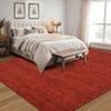 Machine Washable Area Rug With Non-Slip Backing Stain Resistant Easy Cleaning Indoor Carpet For Living Room Bed Dining Room Playroom Office - 3 of 4