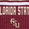 NCAA Florida State Seminoles Humid Knit Cuffed Pom Beanie: Midweight Acrylic, Tagless - 3 of 3