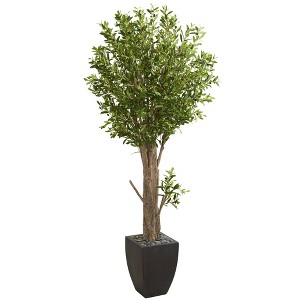 Nearly Natural 6.5-ft Olive Artificial Tree in Black Planter - 1 of 1