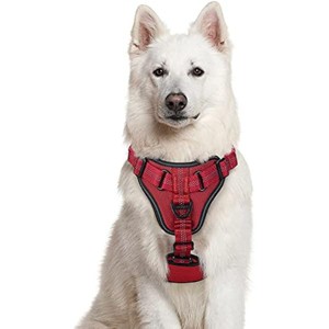 rabbitgoo Dog Harness, No Pull Dog Vest Harnesses  Soft Padded for Large Medium Small Dogs - 1 of 1
