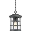 Quoizel Lighting Crusade 1 - Light Pendant in  Earth Black - image 2 of 4