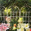 Aghana Digitals 2-Pack 71"x19.7" Cream White Rustproof Metal Trellis for Climbing Plants Outdoor - 3 of 4