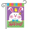 Briarwood Lane Garden Flag 12x18 For Outdoor Happy Spring Rabbit Easter For Easter Garden Flag Flags For Outside - 2 of 4