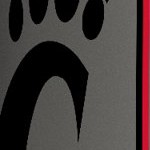 cincinnati bearcats