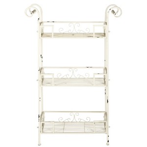 Noreen 3 Tier Shelf - Indoor/Outdoor - PAT5006 - Safavieh - 1 of 4